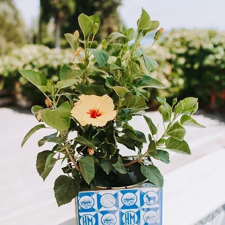 Islands View 호텔 *